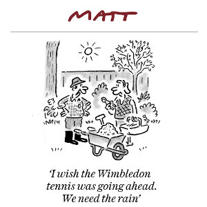 Matt cartoon about Wimbledon.